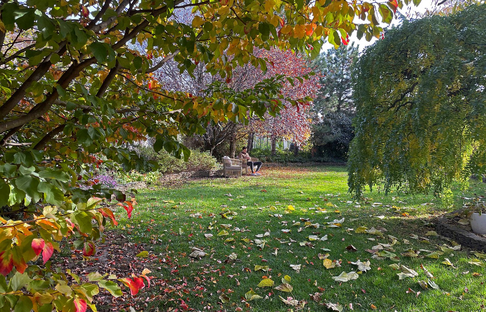 Év Tájépítésze közönségszavazás - fehérvári tájépítész a döntősök között