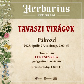Tavaszi virágok – Pákozdon folytatódnak vasárnap a Herbarius-túrák