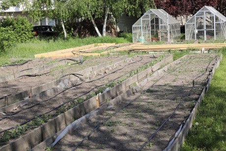 Kertgazdálkodást tanít hajléktalanok a Gaja Környezetvédő Egyesület