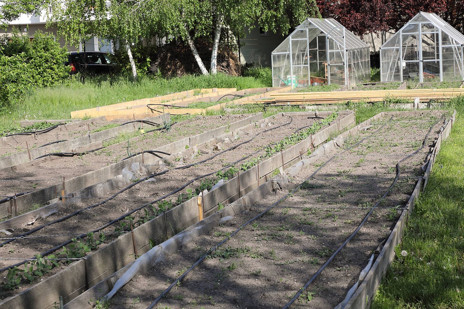 Kertgazdálkodást tanít hajléktalanok a Gaja Környezetvédő Egyesület