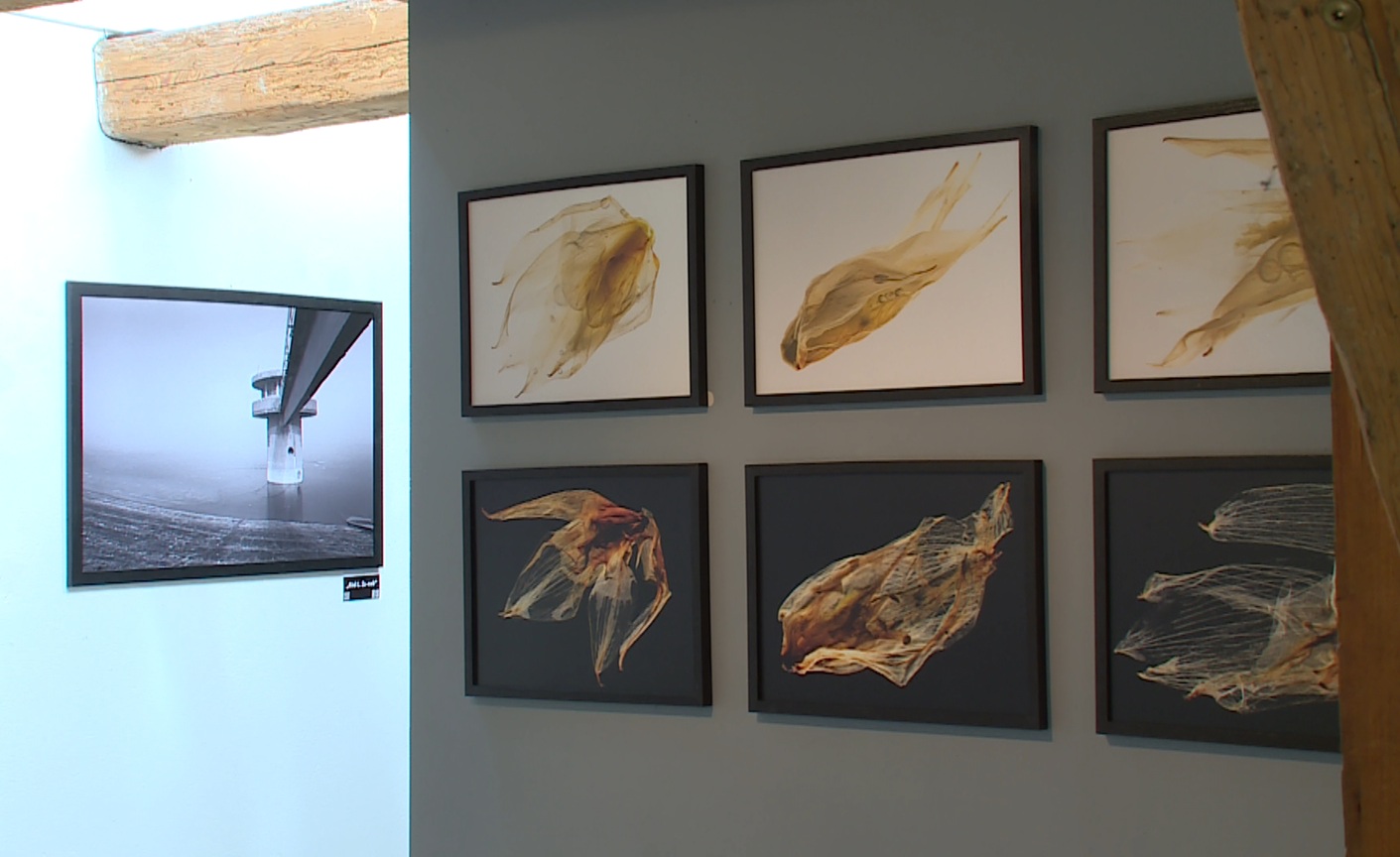 Egyenes képek - a Velencei-tavi Galériában nyílt meg Kiss László kiállítása