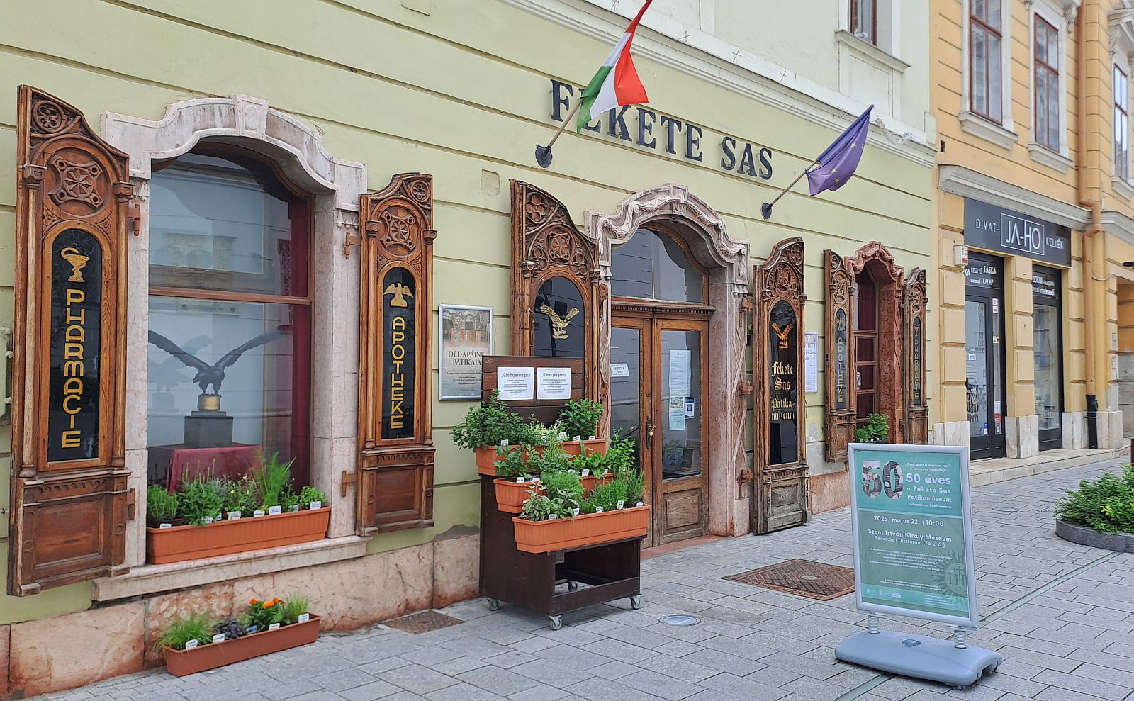 „Csak azért is múzeum lesz” - 50 éves a Fekete Sas Patikamúzeum