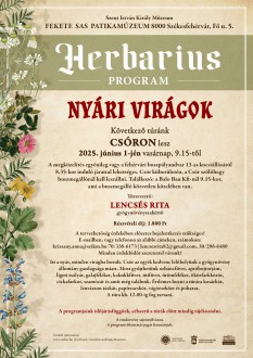 Herbarius-túra - nyári gyógynövényeket gyűjthetnek a vasárnapi túrán résztvevők Csór környékén