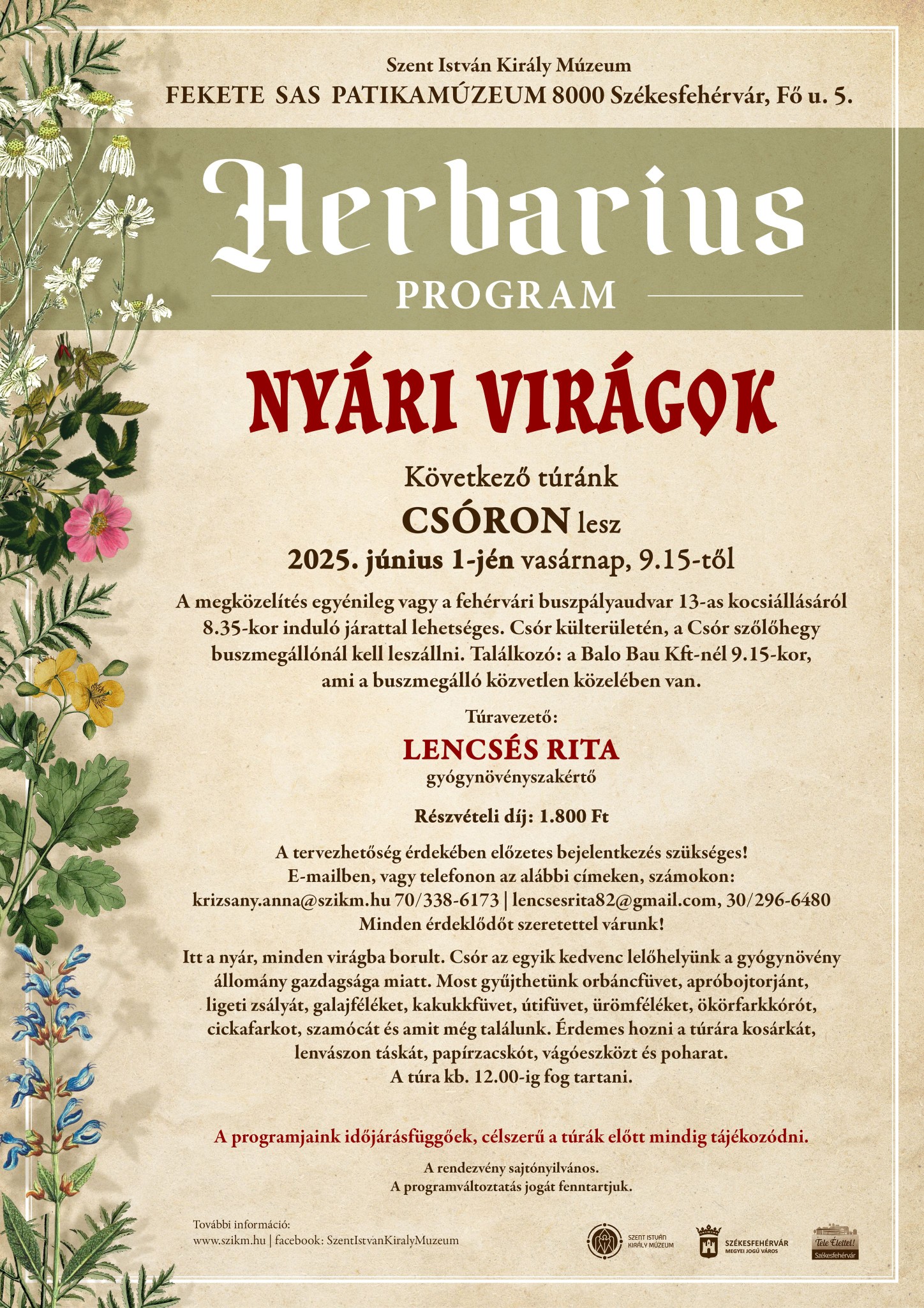 Herbarius-túra - nyári gyógynövényeket gyűjthetnek a vasárnapi túrán résztvevők Csór környékén