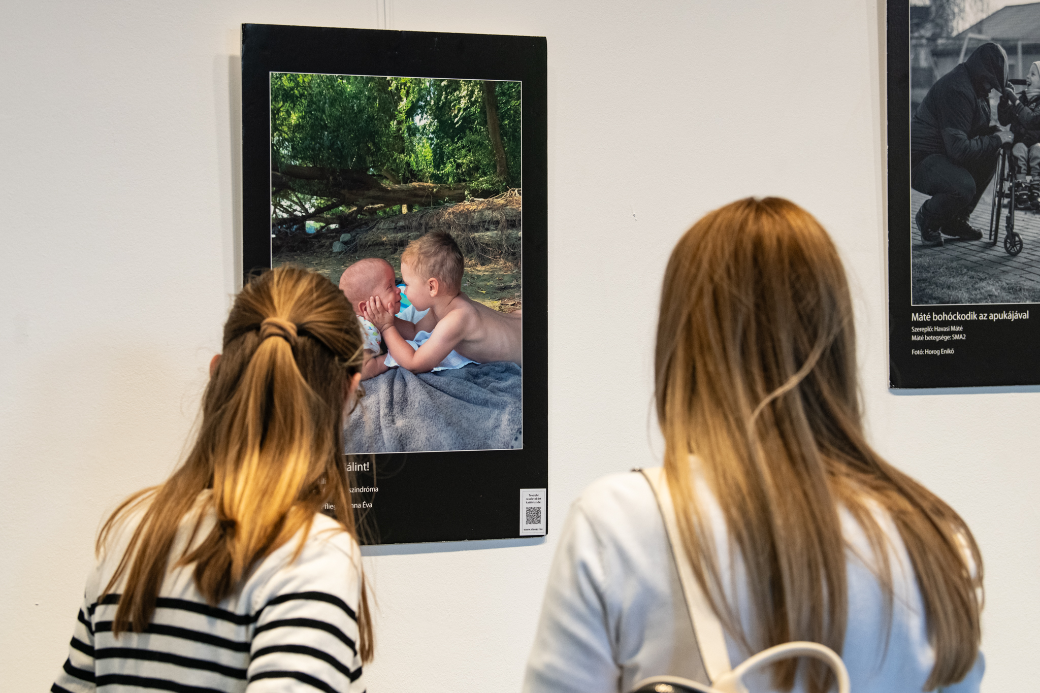 Fénnyel teli, boldog pillanatok - új kiállítás az Öreghegyi Közösségi Házban.