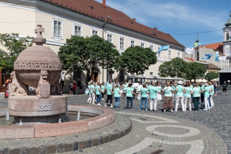 Székesfehérvár nyerte a Kihívás Napját a 70 ezer főnél nagyobb városok versenyében