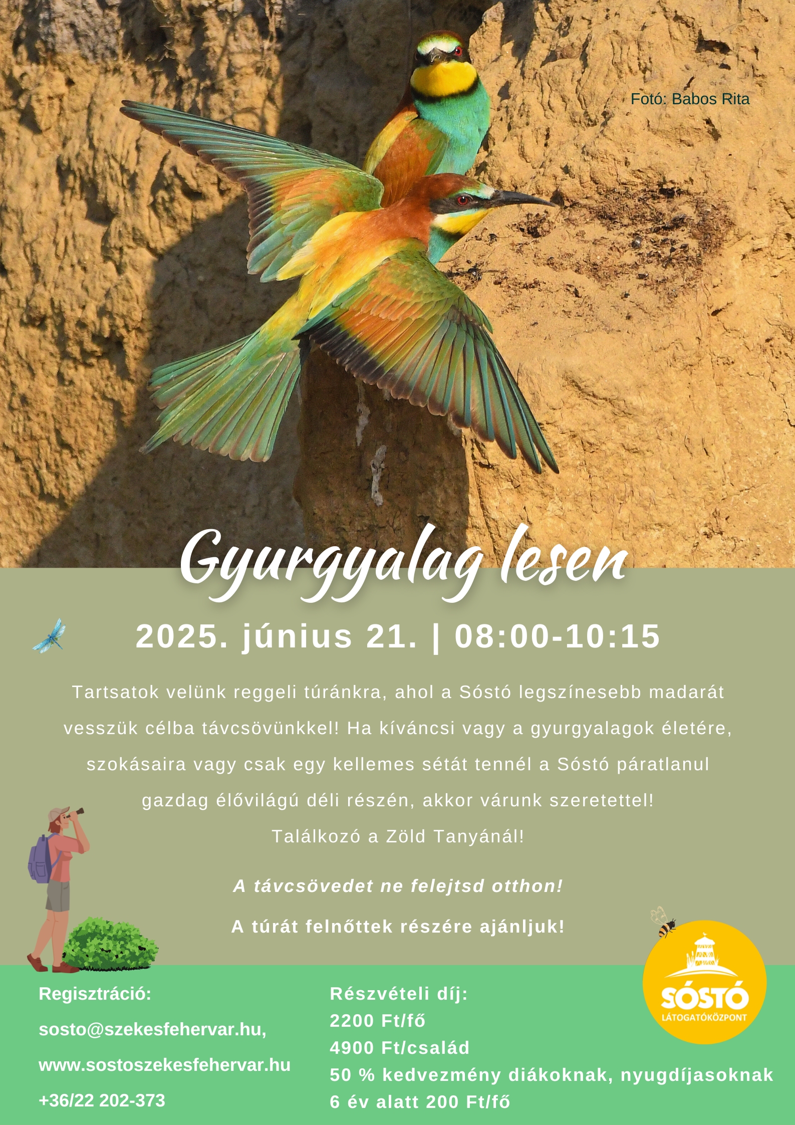 Újabb gyurgyalag-lesre indulgatnak a természetbarátok szombaton a Sóstón