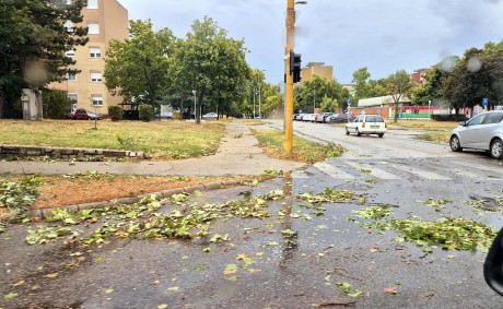 Címről címre haladnak - a tűzoltók és a Városgondnokság is dolgozik a vihar után