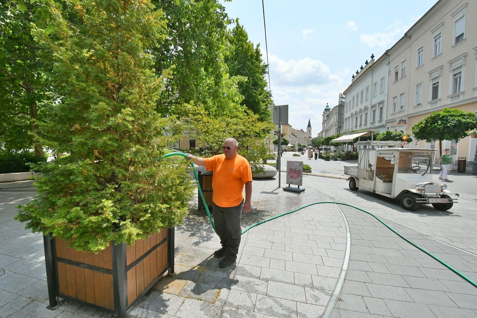 Folyamatos öntözéssel védi a közterületi növényeket a Városgondnokság
