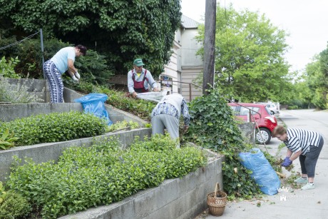 Megszépült a Bory tér és a Mária szobor környéke