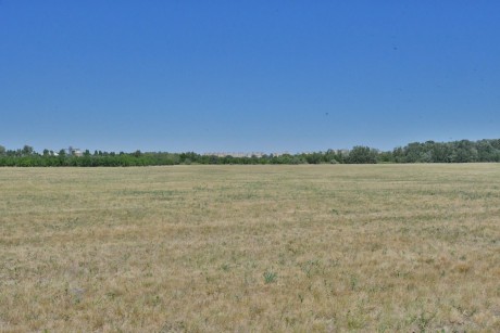 Újabb 3,5 hektárnyi parkerdőt telepítenek az Alsóvárosi Pihenőpark mellett