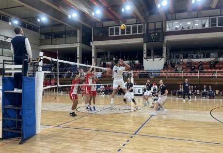 Férfi röplabda Közép-európai Liga - Ismét indul a MÁV Előre