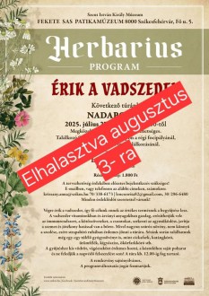 Érik a vadszeder - vasárnap pótolják az elmaradt gyógynövénygyűjtő túrát