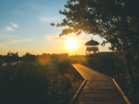 Ismerje meg a Sóstó legszebb arcát! – naplemente túra augusztus 30-án