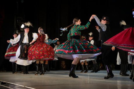 25 éves az Alba Regia Táncegyüttes Senior csoportja