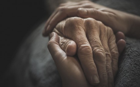 Hivatásos gondnok képzés indul a Fejér Vármegyei Kormányhivatalnál