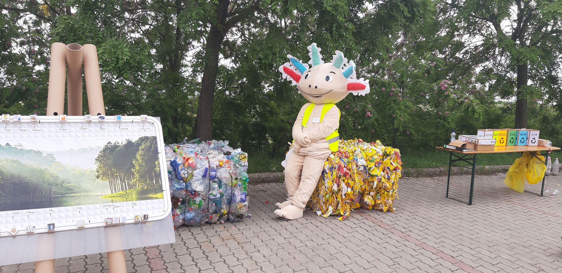 Hova viszik a kuka tartalmát? Az új tanévben is ingyenes szemléletformálásra vár a Depónia!