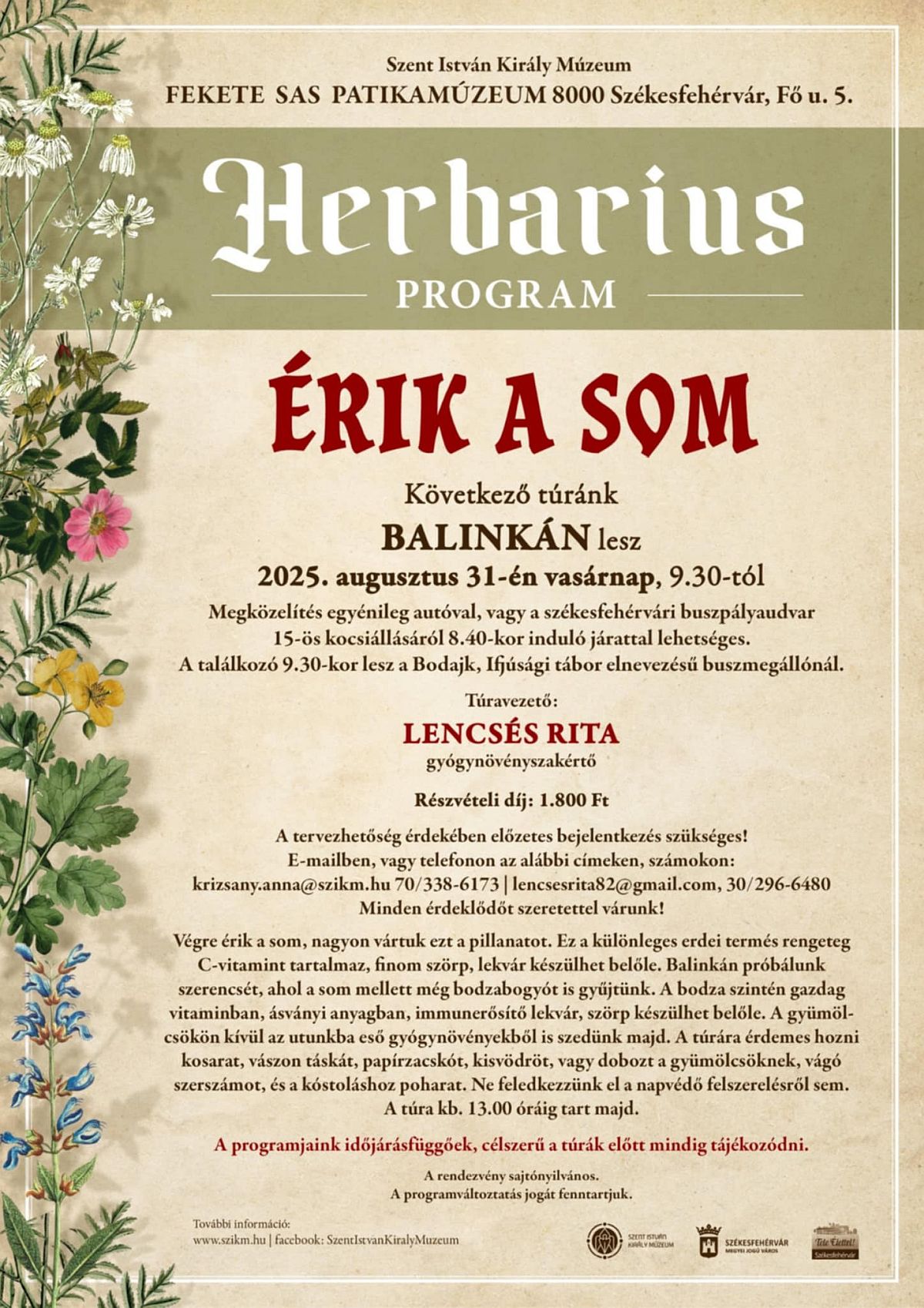 Érik a som – Balinkára visz a Herbarius túra hétvégi programja