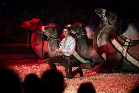 Páros belépőjegyet lehet nyerni a Magyar Nemzeti Cirkuszba a Vörösmarty Rádióban