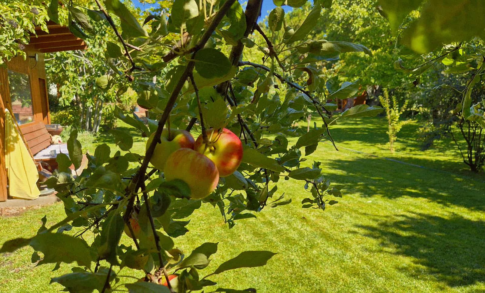Szeptemberi feladatok a kertben - Németh László kertészmérnök tanácsai