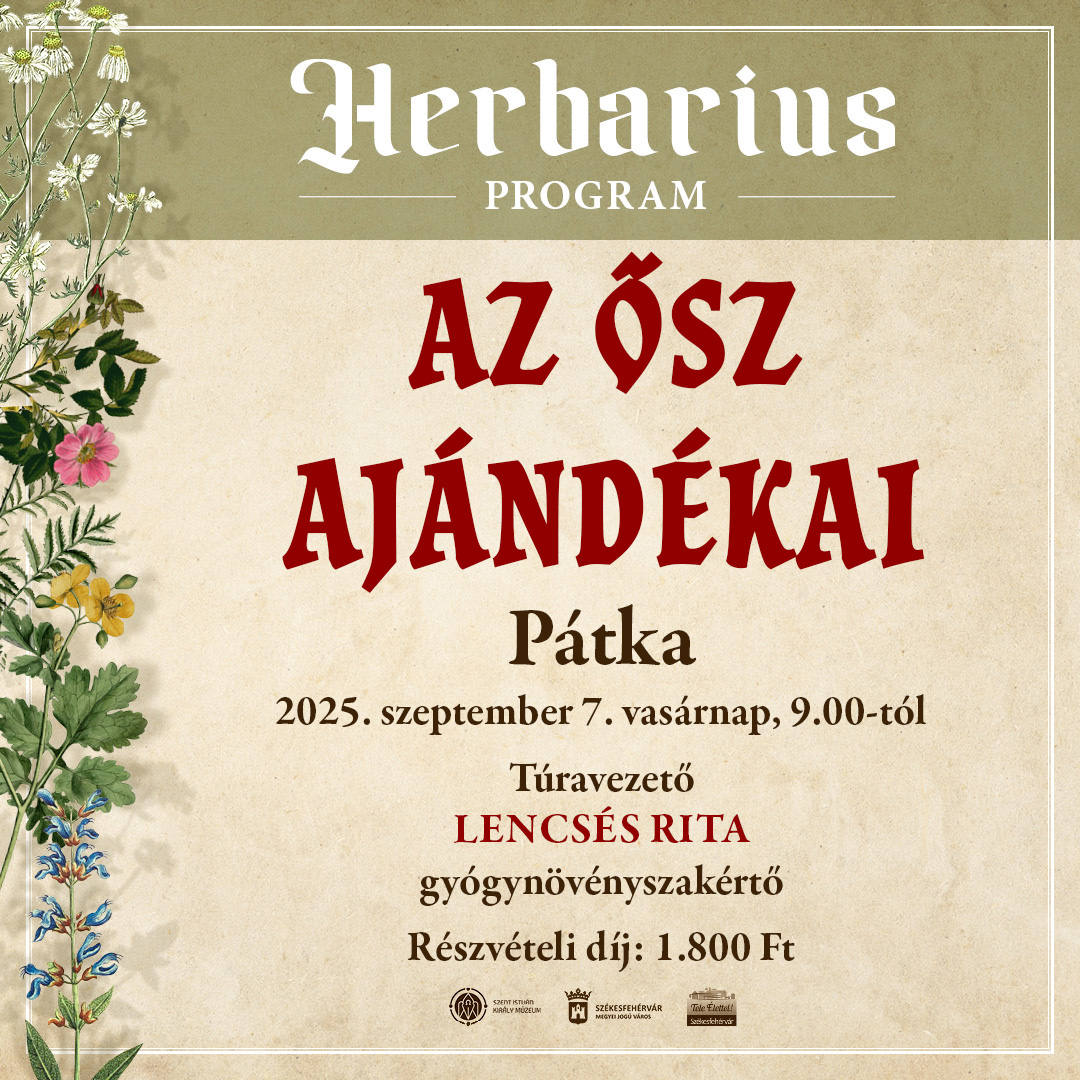 Az ősz ajándékai – Pátka környékére kalauzol a vasárnapi Herbarius túra