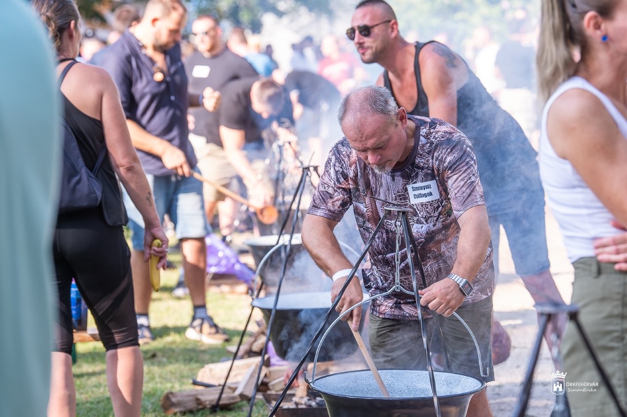 Több mint ezren voltak a Grundfos Pikniken a Bregyó Sportcentrumban