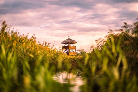 Fehérvári ősz gasztro élményekkel fűszerezve