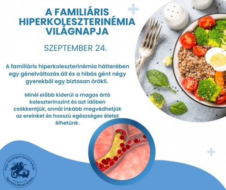 Nem fáj, de halált okoz, ezért fontos a megelőzés - ma van a családi magas koleszterin napja