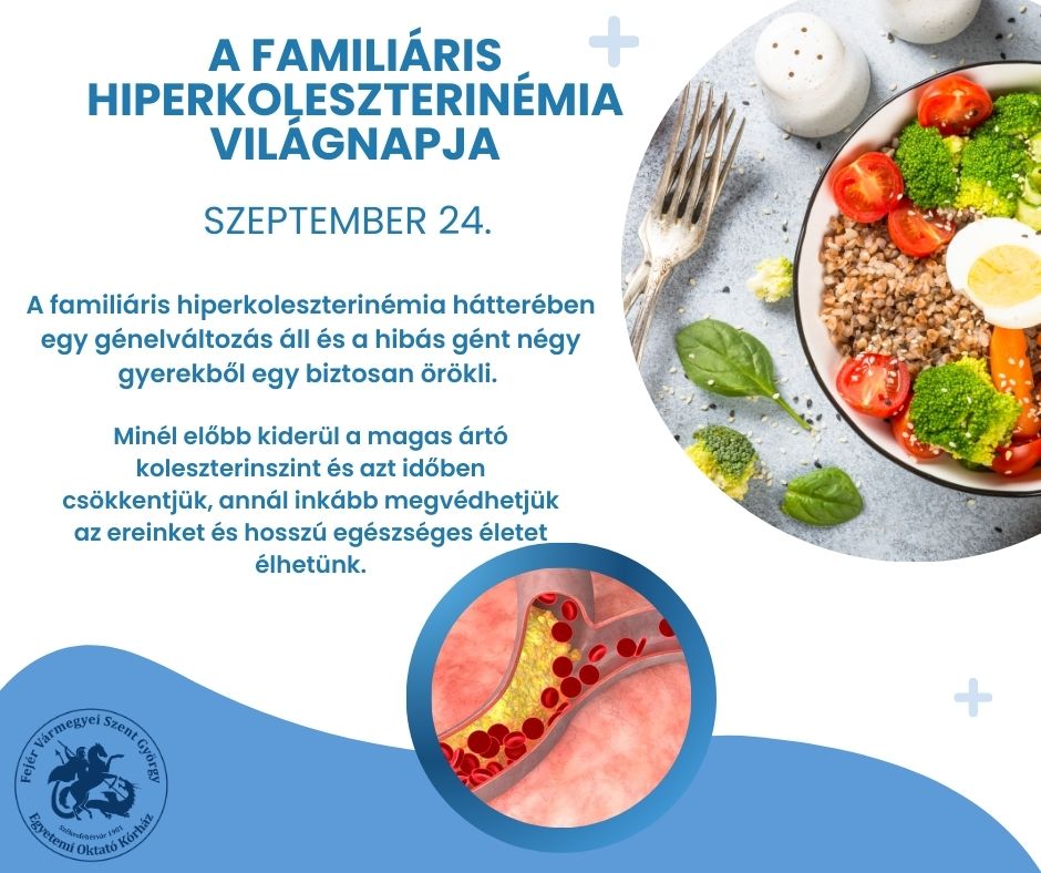 Nem fáj, de halált okoz, ezért fontos a megelőzés - ma van a családi magas koleszterin napja