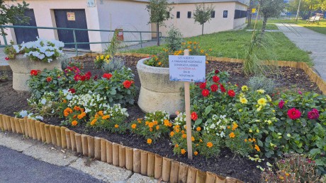 Virágos Székesfehérvár - vasárnap estig még lehet jelentkezni