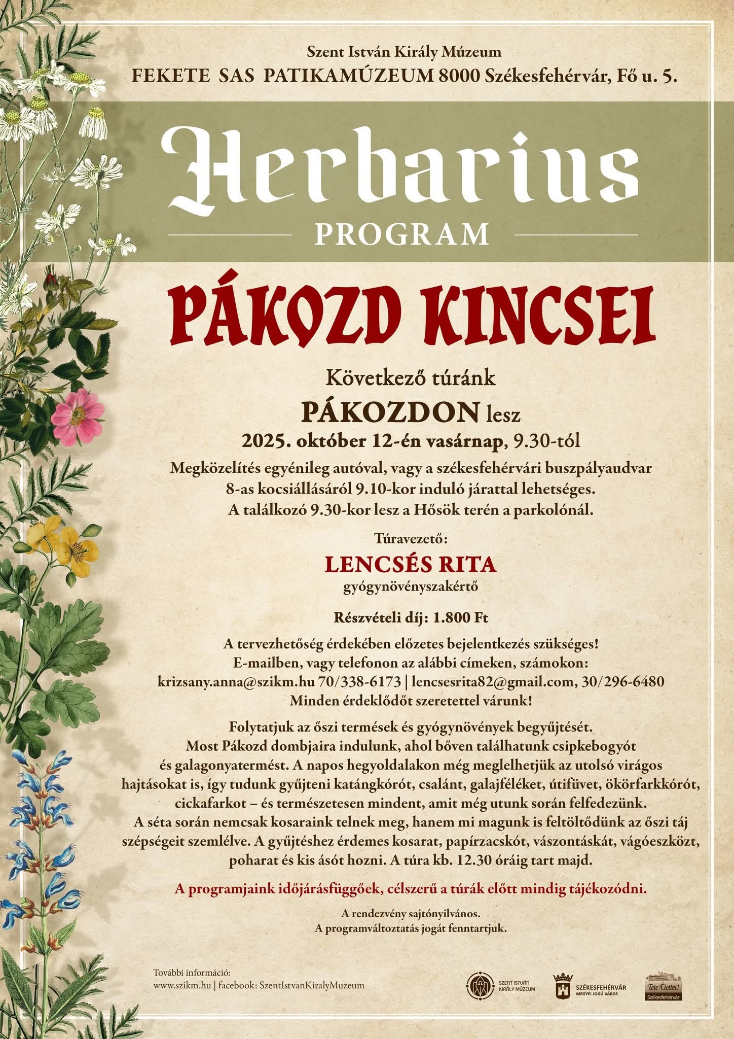 Pákozd kincsei – vasárnap folytatódik a Herbarius túrasorozat