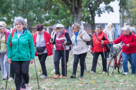 Fitneszparktól fitneszparkig gyalogoltak a Világ Gyalogló (Hó)nap keretében