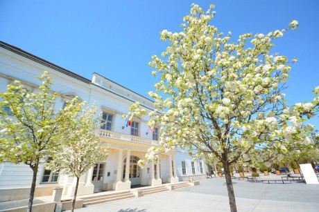 Folytatódnak a Siklósi Gyula Várostörténeti Kutatóközpont városismereti sétái