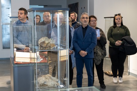 Új kiállítások nyíltak Gorsiumban - kutyák és Seuso leletek