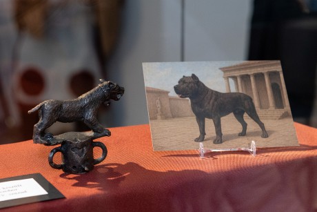 Ősi nyomokon – Memoria Aeterna – különleges program Gorsiumban