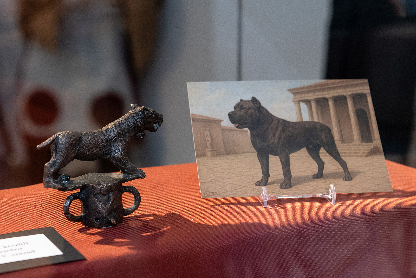 Ősi nyomokon – Memoria Aeterna – különleges program Gorsiumban