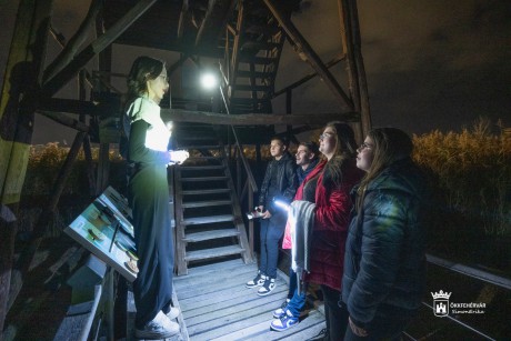 Éjszakai akadályverseny a Diáktanáccsal a Sóstói Tanösvényen