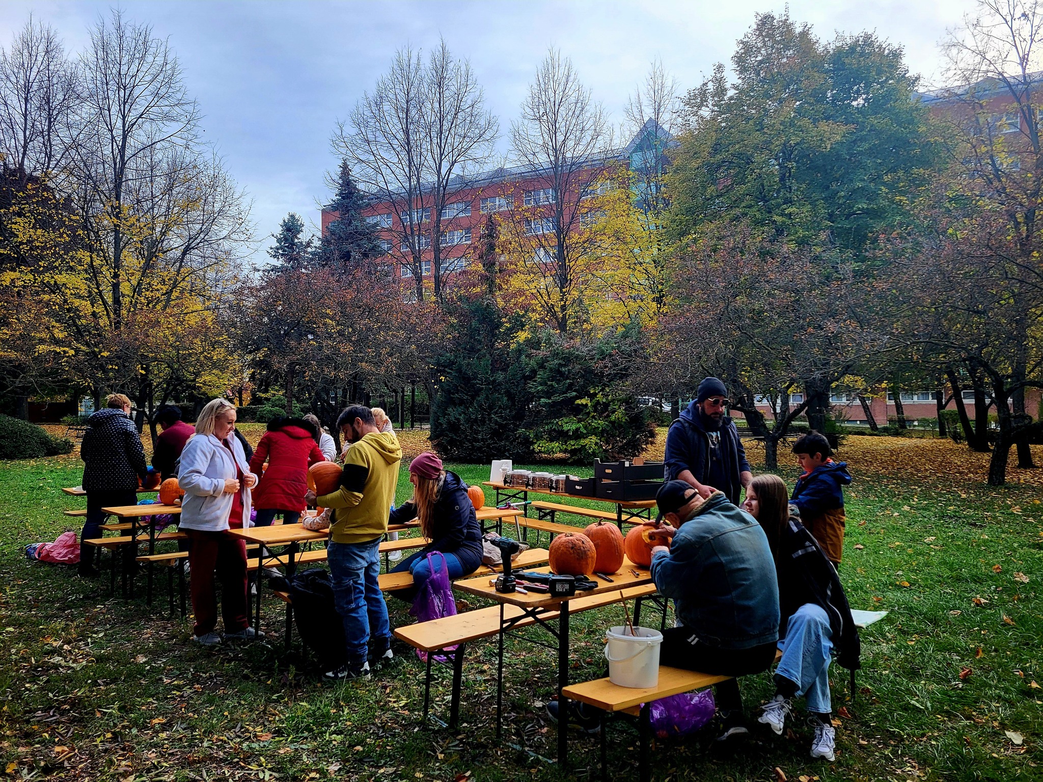 Faragott tökökkel díszítették a kórház parkját annak dolgozói