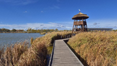 Sóstón mindig történik valami - elkészült a Kócsag-torony felújítása is
