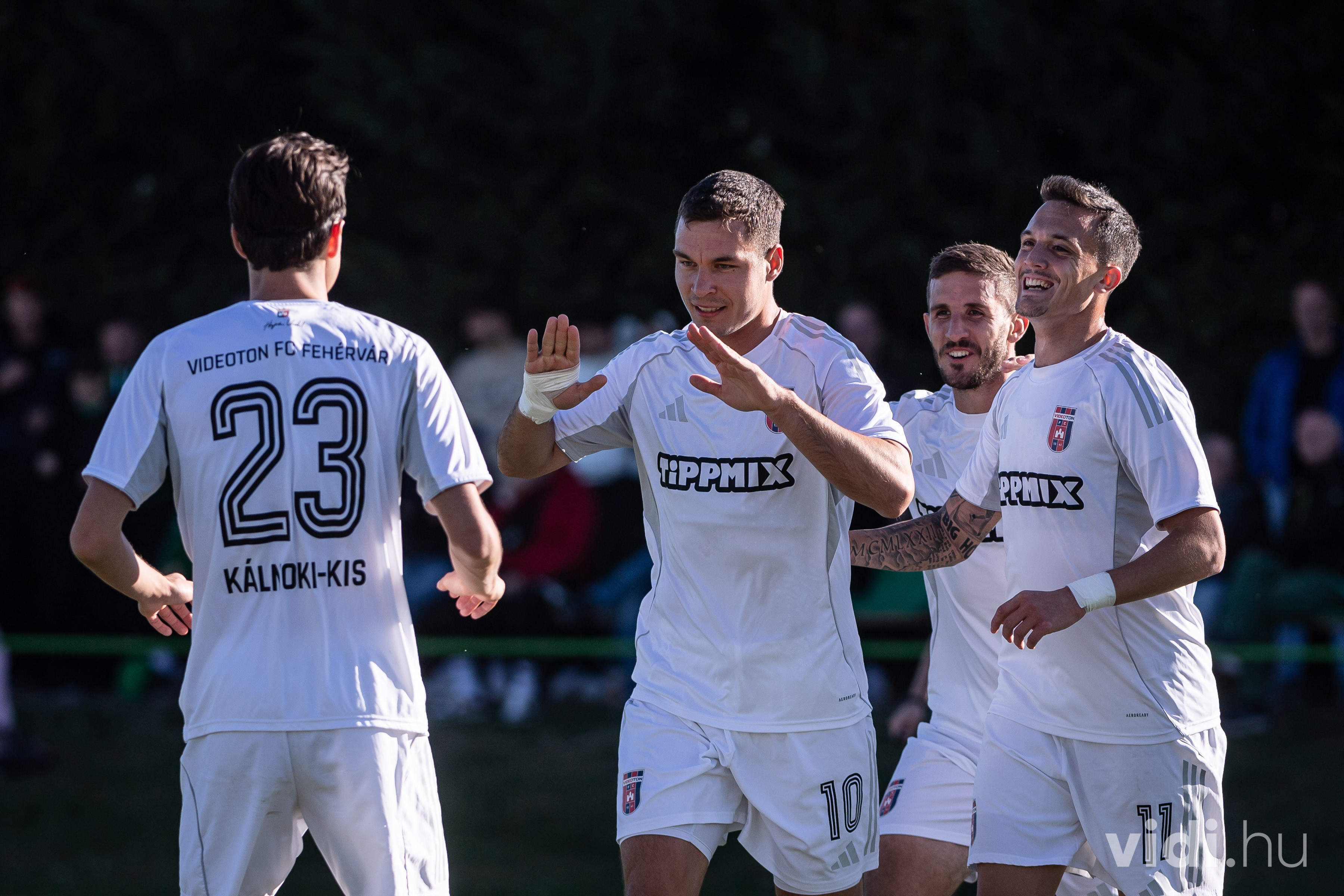 November első hétvégéjén is szurkolhatunk a fehérvári sportcsapatoknak