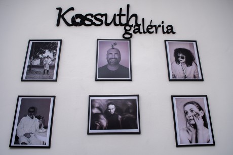 „Róka kultusz” - Csizmadia Bogica képei a Kossuth Galériában