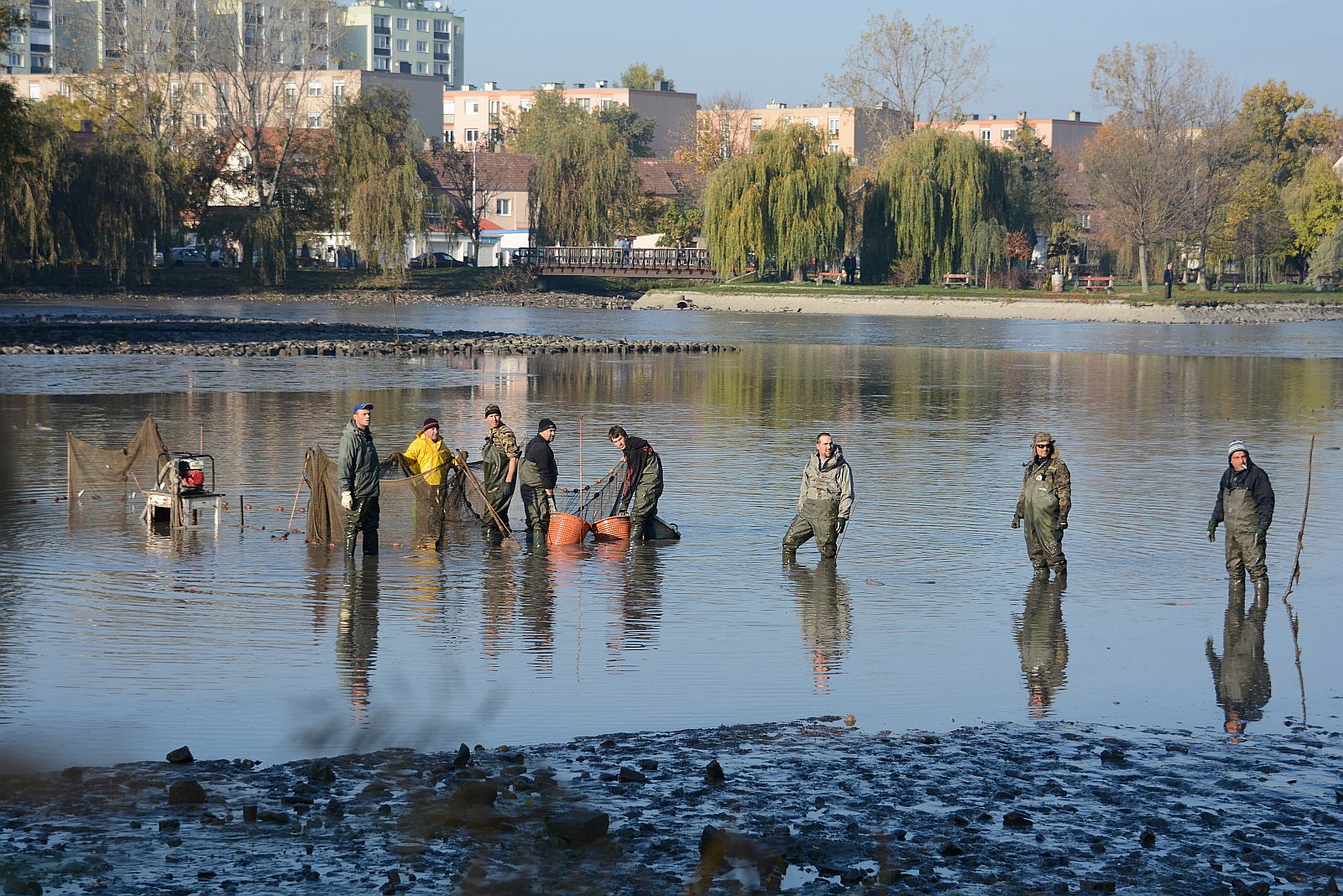Tíz éve kezdődött a Csónakázó-tó újjászületése - partrekonstrukció, sétányfelújítás és Ős-sziget
