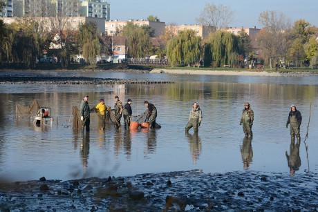 Tíz éve kezdődött a Csónakázó-tó újjászületése - partrekonstrukció, sétányfelújítás és Ős-sziget