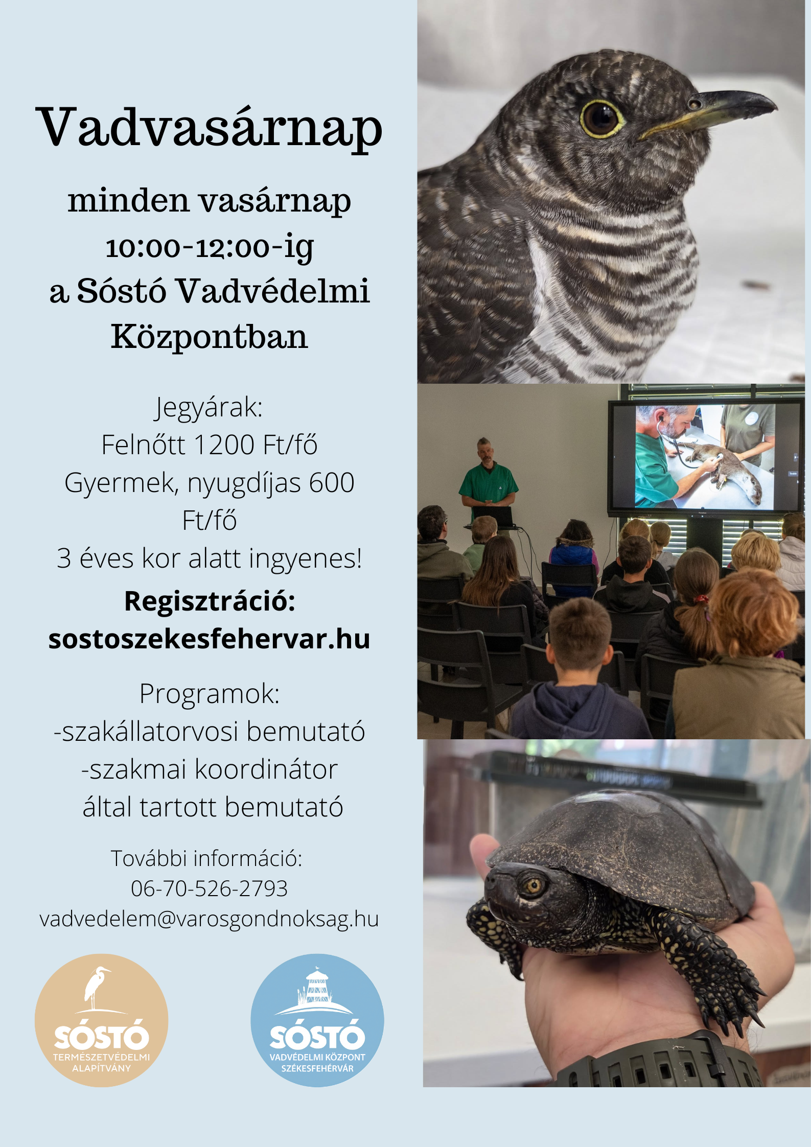 Vadvasárnap lesz ismét a Sóstó Vadvédelmi Központban