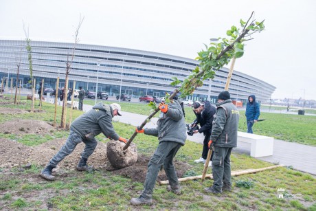 Zöldebb lesz a MET Aréna környezete, fákat ültet az E2 Hungary, a MET Csoport