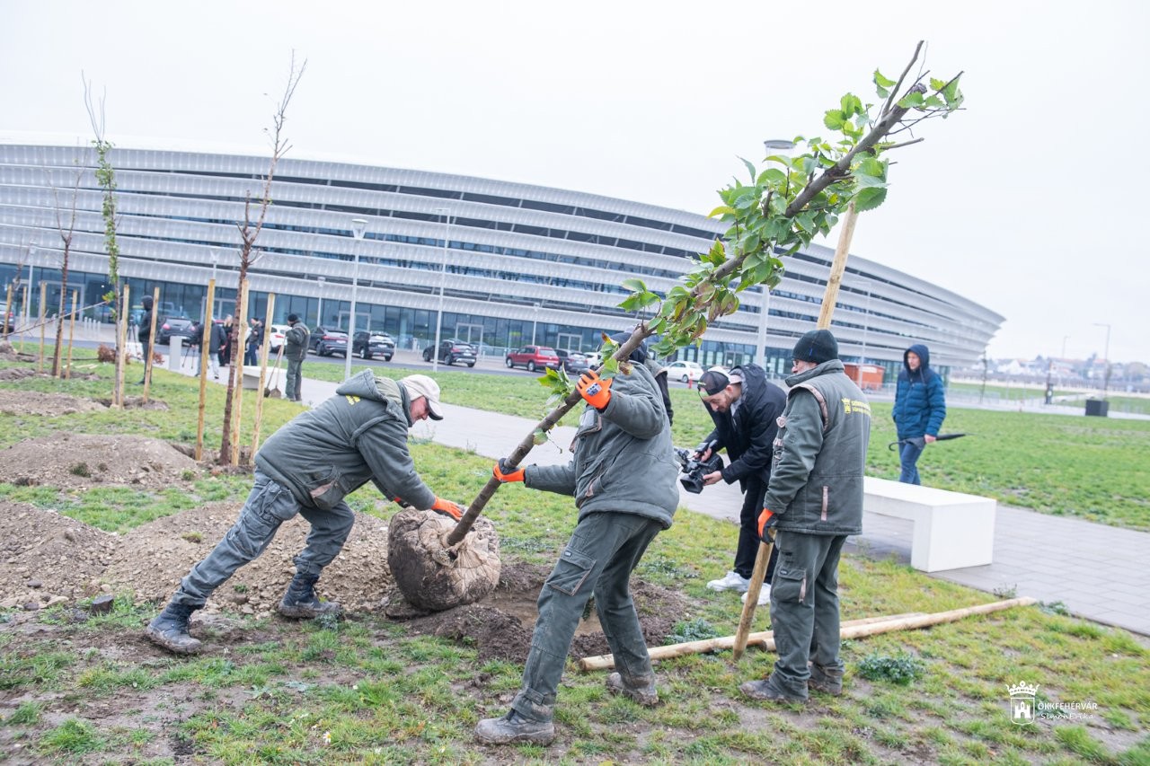 Zöldebb lesz a MET Aréna környezete, fákat ültet az E2 Hungary, a MET Csoport