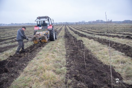 Újabb erdőtelepítés Székesfehérváron - 3,5 hektáros területtel bővül az erdőtömb láncolat