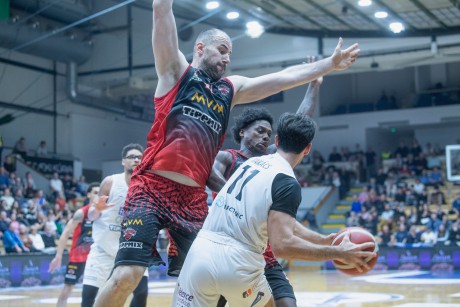 Kiélezett meccsen nyert otthon az Alba az Oroszlány ellen