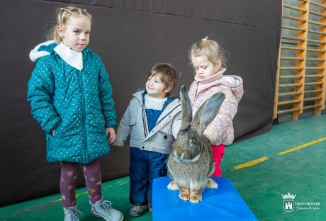 Hétvégén lesz az év legnagyobb kisállat kiállítása Fehérváron