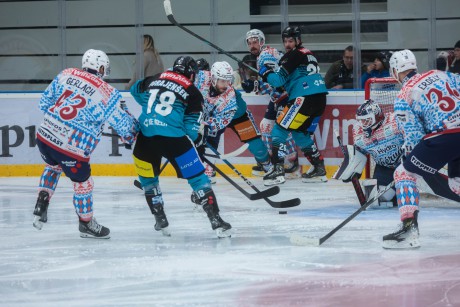 December legjobb játékosára lehet szavazni a Volán honlapján